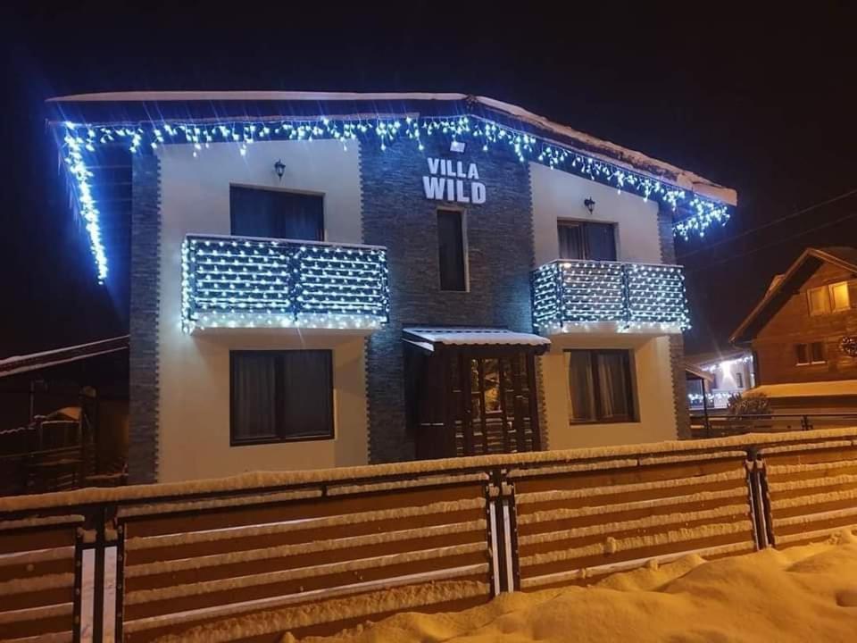 Petroşani Villa Wild מראה חיצוני תמונה